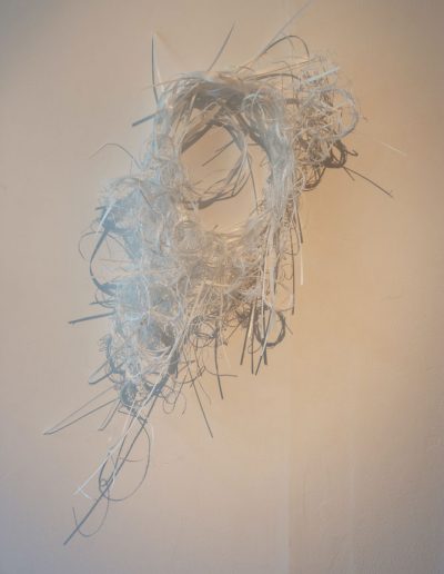 Fiona Hutchison, Think Plastic Exhibition, Whirlpool